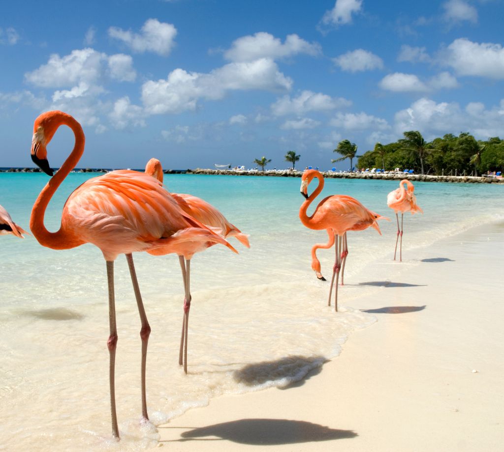 Aruba 001