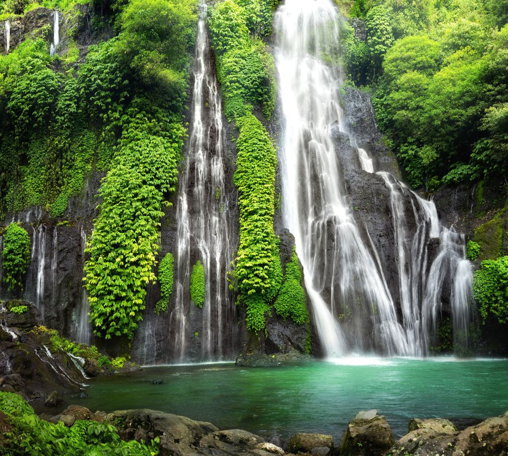Bali y Java 003