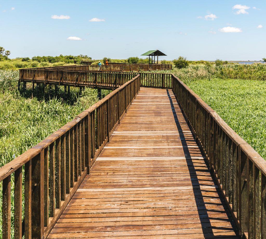 Esteros del Iberá 001
