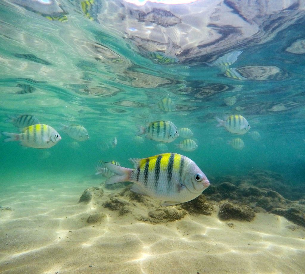 Porto de Galinhas 002