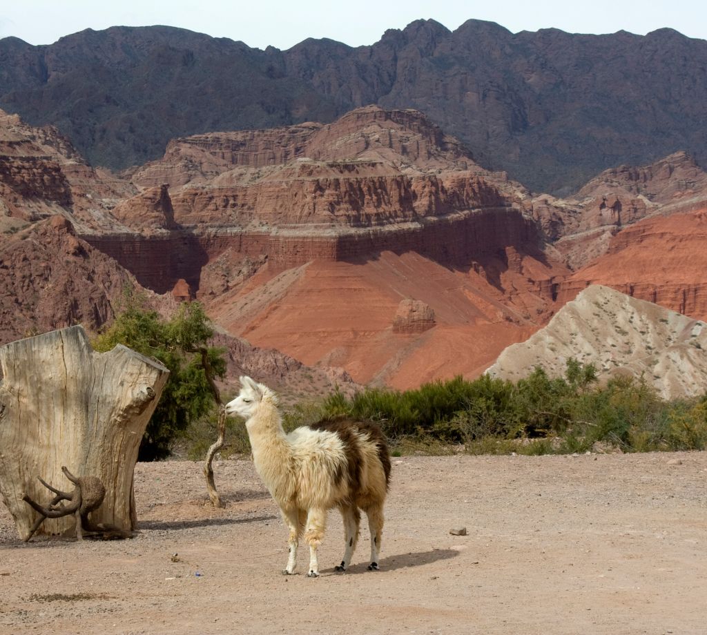Salta 003